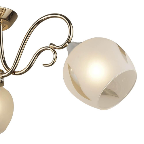 Потолочная люстра Wedo Light Malito 66207.01.10.03