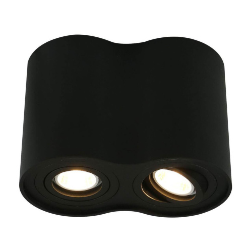 Потолочный светильник Arte Lamp A5644PL-2BK Потолочный светильник Arte Lamp A5644PL-2BK