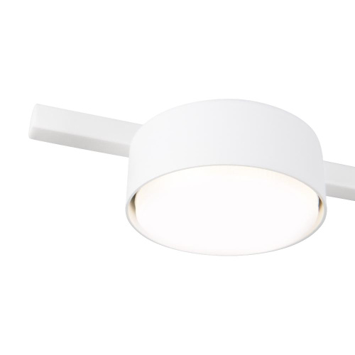 Потолочный светильник Freya FR5363CL-03W Потолочный светильник Freya FR5363CL-03W