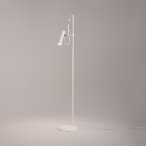 Торшер Maytoni Technical Bansky MOD129FL-01W
