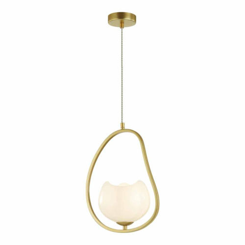 Подвесной светильник Odeon Light Modern Waterlily 4873/1