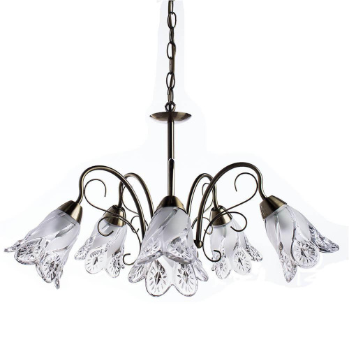 Подвесная люстра Arte Lamp 2 A6273LM-5AB Подвесная люстра Arte Lamp 2 A6273LM-5AB
