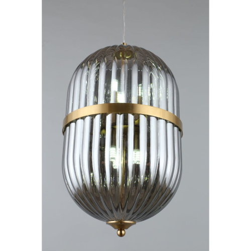 Подвесной светильник Aployt Ludovica APL.860.06.06