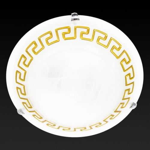 Потолочный светильник Toplight Gien TL9171Y-02BN