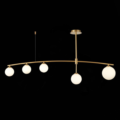 Подвесная люстра ST Luce Sembrare SL1208.302.05 Подвесная люстра ST Luce Sembrare SL1208.302.05