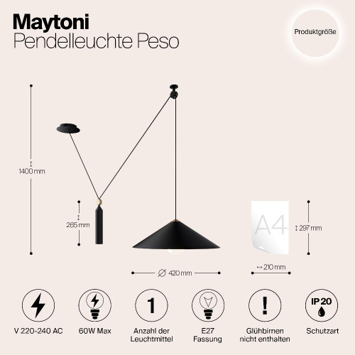 Подвесной светильник Maytoni Technical Peso P080PL-01B