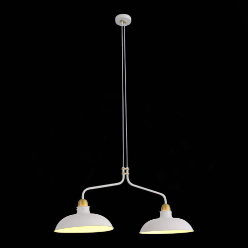 Подвесная люстра ST Luce Pietanza SL323.503.02 Подвесная люстра ST Luce Pietanza SL323.503.02