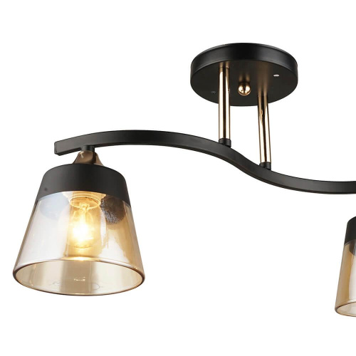 Потолочная люстра Wedo Light Бранка 66076.01.69.02