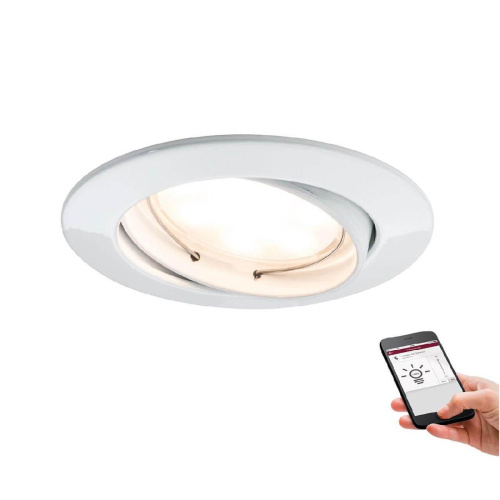 Встраиваемый светодиодный светильник Paulmann Goal 50006