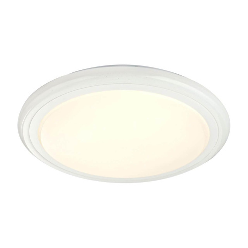 Потолочный светодиодный светильник Globo Rudi 48378-40RGB