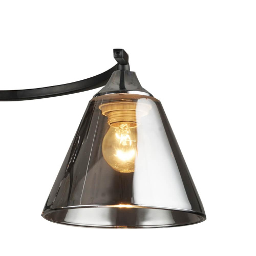 Потолочная люстра Wedo Light Савока 66273.01.13.03