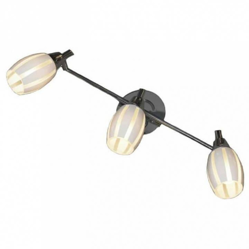 Спот Lussole Brindisi GRLSX-6701-03 Спот Lussole Brindisi GRLSX-6701-03