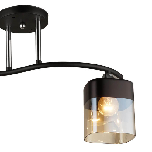 Потолочная люстра Wedo Light Алид 65999.01.13.02