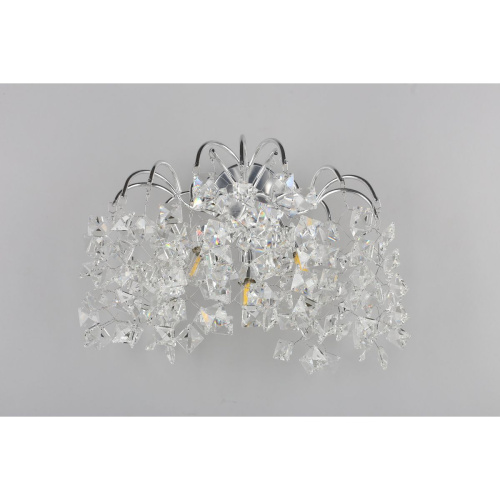 Настенный светильник Aployt Danusia APL.846.01.03