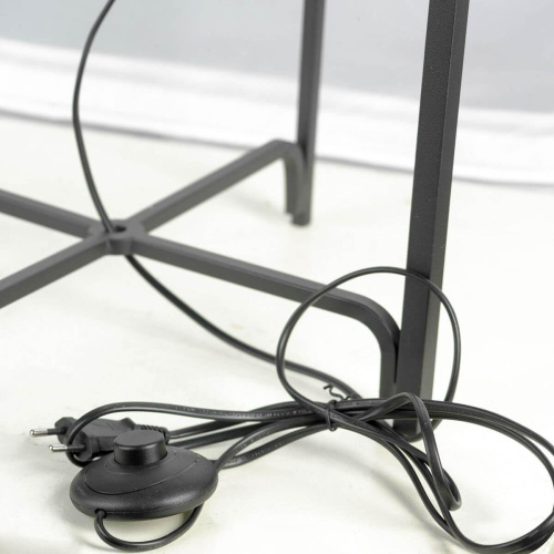 Торшер Lussole Lgo Clarke LSP-0604 Торшер Lussole Lgo Clarke LSP-0604