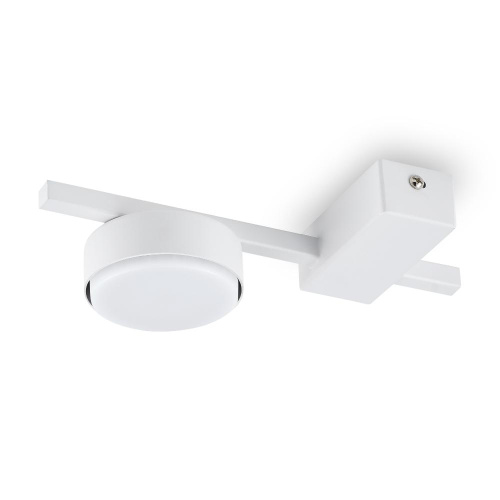 Потолочный светильник Freya FR5363CL-01W Потолочный светильник Freya FR5363CL-01W