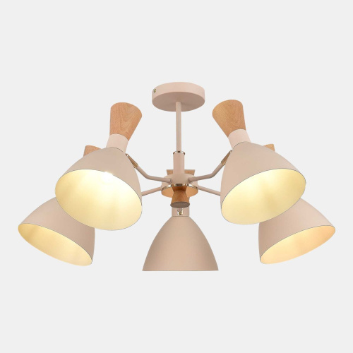 Потолочная люстра Evoluce Vista SLE1256-502-05