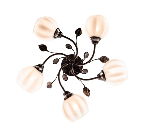 Потолочная люстра Escada 1122/5