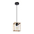 Подвесной светильник Arte Lamp Dublin A7025SP-1BK
