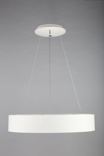 Подвесной светодиодный светильник Omnilux OML-45203-42