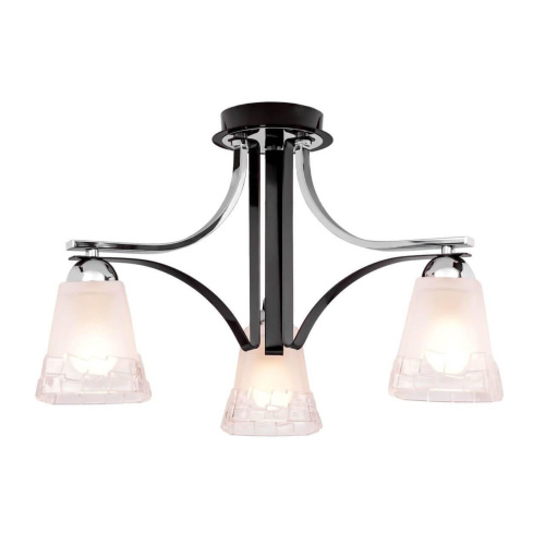 Потолочная люстра Silver Light Montenegro 703.59.3