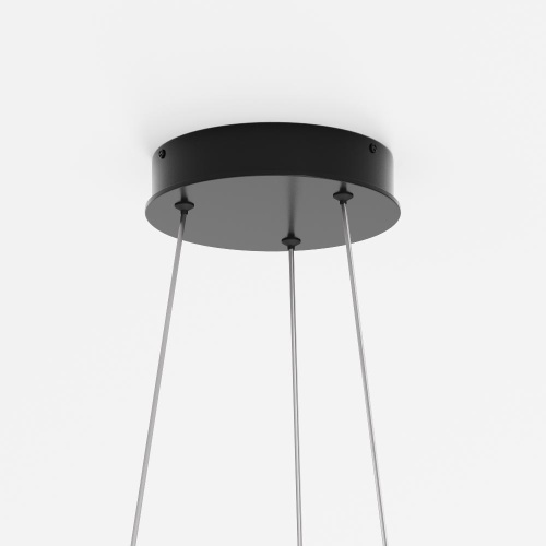 Подвесной светильник Maytoni MOD058PL-L32BK