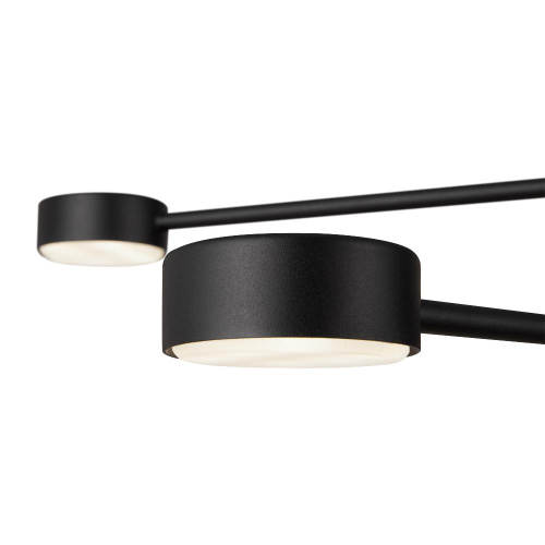 Потолочный светильник Freya FR5363CL-04B Потолочный светильник Freya FR5363CL-04B