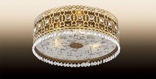 Потолочный светильник Odeon Light Salona 2641/3C