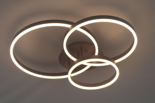 Потолочный светодиодный светильник Escada 10207/3LED