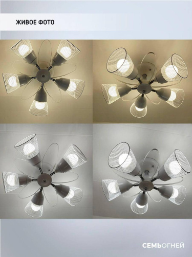 Потолочная люстра Seven Fires Berat WD3525/5C-WT-CR-WT