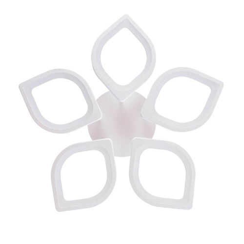 Потолочный светодиодный светильник Arte Lamp Polli A2531PL-5WH