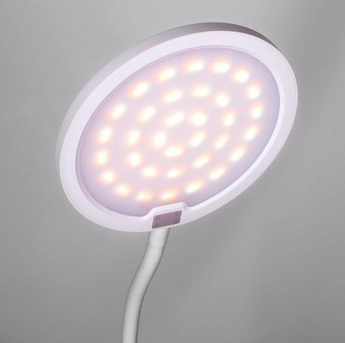 Настольная лампа Camelion KD-836 C01 13887