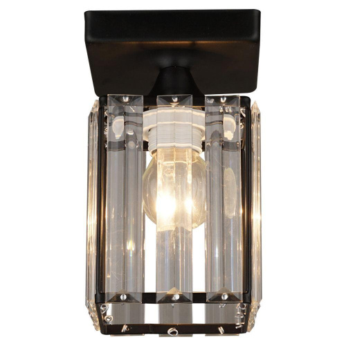 Потолочный светильник Seven Fires Netta WD3519/1C-BK-CL Потолочный светильник Seven Fires Netta WD3519/1C-BK-CL