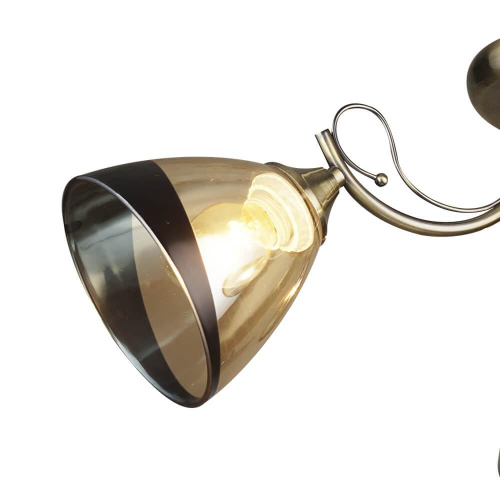 Потолочная люстра Wedo light Бареджо 66269.01.05.03