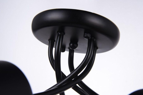 Потолочная люстра Escada 498/5PL