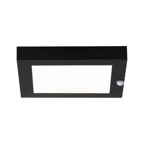 Уличный настенный светодиодный светильник Paulmann Panel Bewegungsm 94255