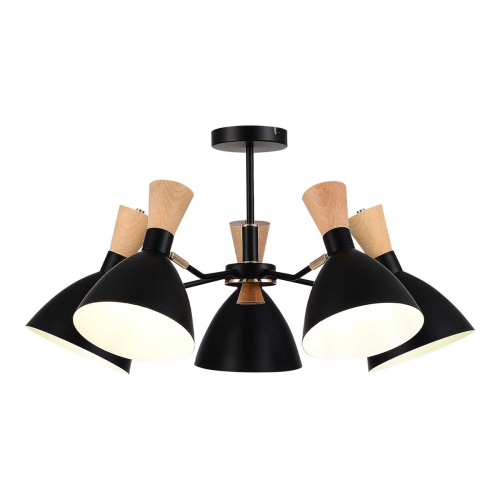 Потолочная люстра Evoluce Vista SLE1256-402-05