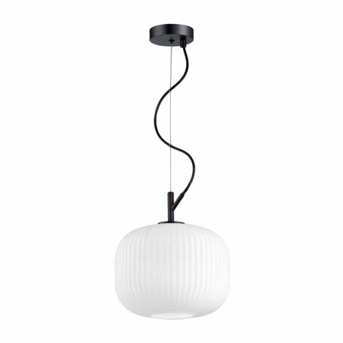 Подвесной светильник Odeon Light Roofi 4753/1