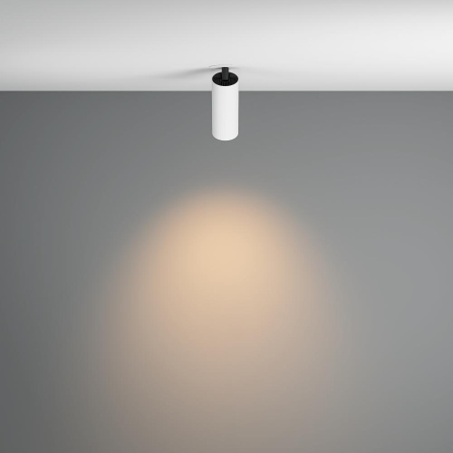 Потолочный светильник Technical C053CL-L12W3K-W-W