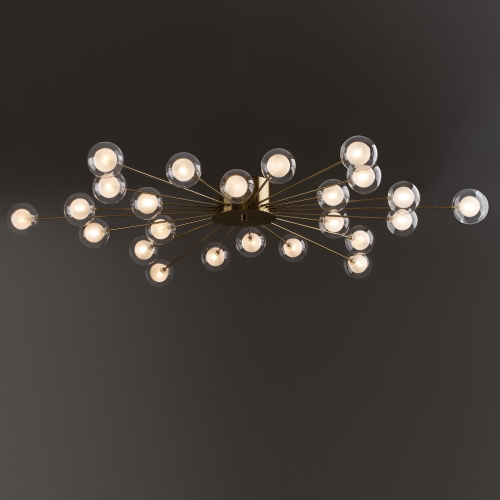Потолочный светильник Freya FR5242CL-24BS1 Потолочный светильник Freya FR5242CL-24BS1