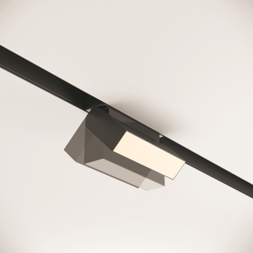 Трековый светодиодный светильник Maytoni Track lamps TR013-2-10W3K-B Трековый светодиодный светильник Maytoni Track lamps TR013-2-10W3K-B