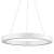 Подвесной светодиодный светильник Ideal Lux Oracle D50 Round Bianco 211404