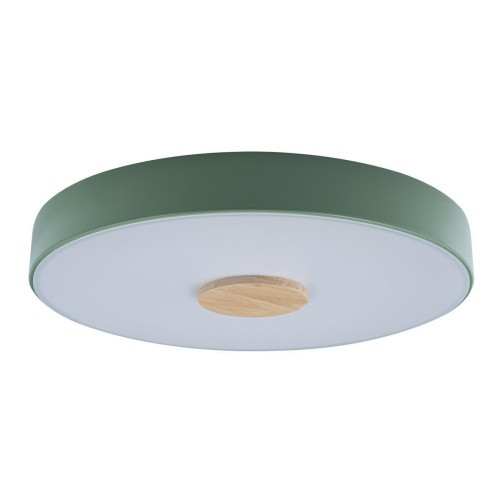 Потолочный светодиодный светильник Loft IT Axel 10003/24 green Потолочный светодиодный светильник Loft IT Axel 10003/24 green