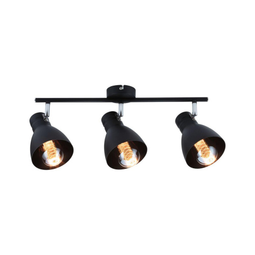 Спот Paulmann Davy 66761