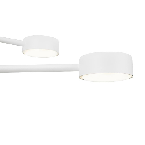 Потолочный светильник Freya FR5363CL-06W Потолочный светильник Freya FR5363CL-06W