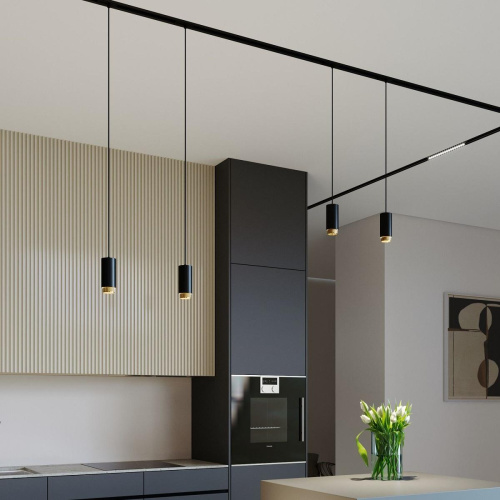 Подвесной трековый светильник Elektrostandard Nubis GU10 85021/01 черный/золото a064794 Подвесной трековый светильник Elektrostandard Nubis GU10 85021/01 черный/золото a064794