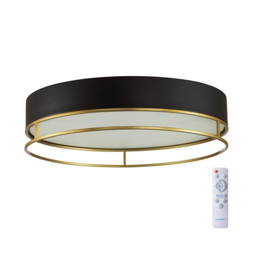 Потолочный светодиодный светильник Sonex Avra Lofty 7723/65L Потолочный светодиодный светильник Sonex Avra Lofty 7723/65L