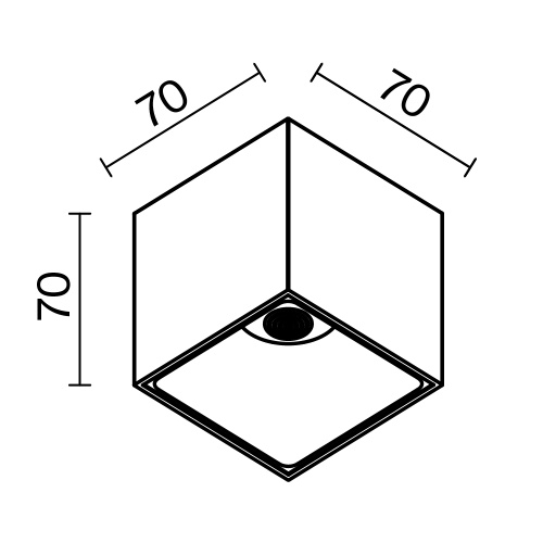 Потолочный светильник Technical C065CL-L12W3K-D