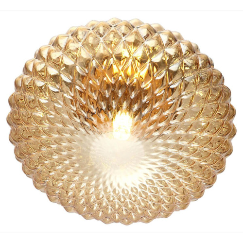 Потолочный светильник Stilfort Roxie 2095/05/01C