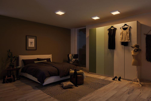 Потолочный светодиодный светильник Paulmann Carpo 79794